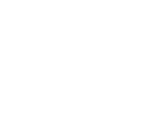 Wordpress Demo